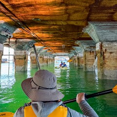 2024-08-05 12-08 iPhone 15 Pro 20240805_120847_IMG_7060_Edited null