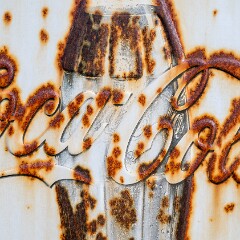 2024-08-08 18-00 NIKON Z 8 NZ8_5882 null