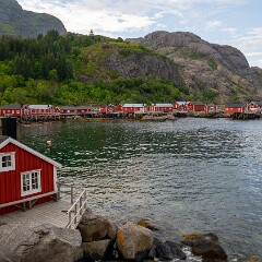 2024-08-08 18-08 NIKON Z 8 NZ8_5897 null