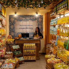 2025-05-02 16-15 ILCE-7CM2 A7C04926 null