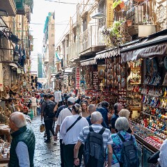 2025-10-13 11-02 ILCE-7CM2 A7C06030 null