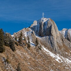 2026-01-31 12-19 ILCE-7CM2 A7C06742 null