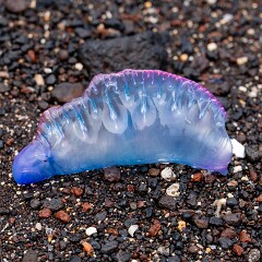 2026-05-16 13-35 ILCE-7CM2 A7C07197 null