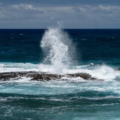 2026-05-16 15-47 ILCE-7CM2 A7C07292 null